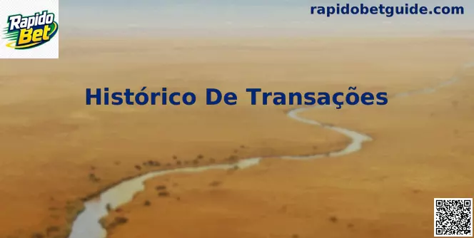 Interface explicativa do Histórico De Transações na Rapido Bet