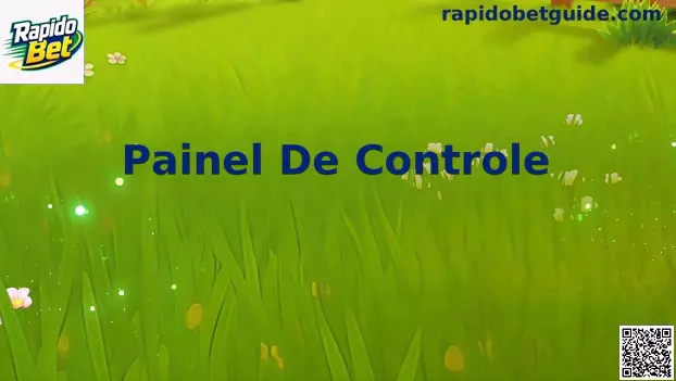Painel De Controle da Rapido Bet com atalhos de saldo, Pix, bônus e segurança da conta