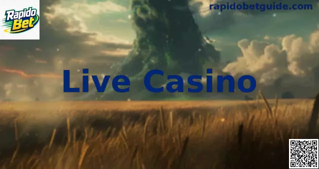 Live Casino ao vivo Rapido Bet